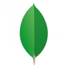 mongoDB